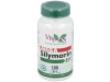 Vbyotics Mega Silymarin 240 Y Glutation 100Caps