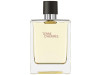 Terre D'hermes Eau de Toilette 100ml - Hermes Paris