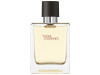 Terre D'hermes Eau de Toilette 50ml - Hermes Paris
