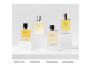Terre D'hermès Eau de Toilette Vaporizador 200 ml - Herms
