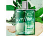 H24 Herbes Vives Edp Recarga 200 Ml
