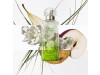 Paris Un Jardin Sur Le Toit Eau de Toilette 100ml Vaporiz - Hermes