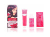 Color Sensation N°3.16 Violin Intenso 4uds - Garnier