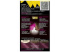 Garnier Kit Olia Coloracion Permanente Violeta Electrico N°426