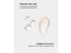 Cofre Antiarrugas BTX- Like: Restaura Serum, 30 ml + Restaura Crema, 50 ml. - Segle Clinical
