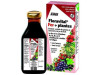 Floradix Floravital (1 Frasco 250 ml) - Salus Floradix