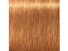 Igora Royal Absolutes 9 60 60ml - Schwarzkopf