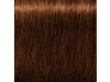 Schwarzkopf Igora Royal Absolutes Tinte Cabello Nro 8-60 60Ml