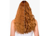 Wella Color Motion Champú 1000Ml