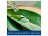 Optrex Colirio Agua de Hamamelis (1 Envase 10 ml) - Reckitt Benckiser