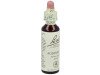 Flores Bach Agrimony Agrimonia 20Ml.