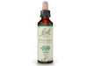 Flores Bach Centaury Centaura Menor 20Ml.