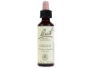 Flores Bach Cerato Ceratostigma 20Ml.