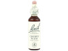 Flores Bach Cherry Plum Cerasifera 20Ml.