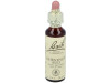 Flores Bach Chestnut Bud Brote Castaño 20ml - Flores de Bach Originales