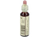Flores Bach Chestnut Bud Brote Castaño 20ml - Flores de Bach Originales