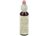 Flores Bach Chestnut Bud Brote Castaño 20ml - Flores de Bach Originales