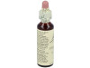 Flores Bach Chestnut Bud Brote Castaño 20ml - Flores de Bach Originales