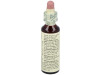 Flores Bach Chicory Achicoria 20Ml.