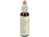 Flores Bach Chicory Achicoria 20Ml.