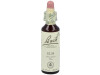 Flores De Bach (11) Elm 20 Ml