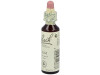 Flores De Bach (11) Elm 20 Ml