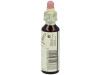 Flores De Bach (11) Elm 20 Ml