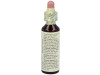 Flores De Bach (11) Elm 20 Ml