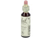 Flores Bach Gentian Genciana 20Ml.