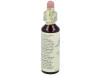 Flores Bach Gentian Genciana 20Ml.