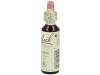 Flores De Bach (13) Gorse 20 Ml