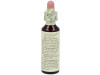 Flores De Bach (13) Gorse 20 Ml