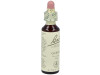 Flores De Bach (13) Gorse 20 Ml