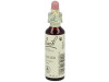Flores De Bach (14) Heather 20 Ml