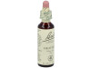 Flores De Bach (14) Heather 20 Ml