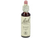 Flores De Bach (15) Holly 20 Ml