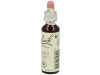 Flores De Bach (15) Holly 20 Ml