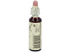 Flores De Bach (15) Holly 20 Ml