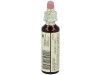 Flores De Bach (15) Holly 20 Ml