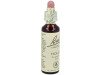 Flores De Bach (15) Holly 20 Ml