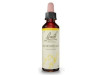 Flores Bach Hornbeam Hojarazo 20Ml.