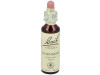 Flores Bach Hornbeam Hojarazo 20Ml.
