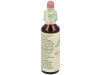 Flores Bach Hornbeam Hojarazo 20Ml.