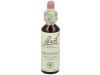 Flores Bach Impatiens Impaciencia 20Ml.
