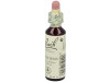 Flores Bach Impatiens Impaciencia 20Ml.