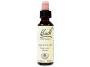Flores Bach Mustard Mostaza 20Ml.