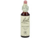 Flores Bach Mustard Mostaza 20Ml.