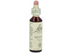 Flores Bach Mustard Mostaza 20Ml.