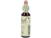 Flores De Bach (23) Olive 20 Ml