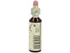 Flores De Bach (23) Olive 20 Ml